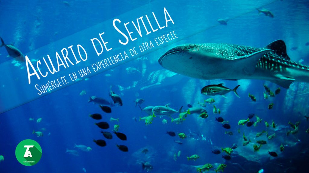 Acuario-Sevilla